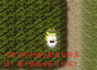 传奇法师与道士职业如何选择?哪个更适合新手玩家? 传奇法师与道士职业如何选择?哪个更适合新手玩家?