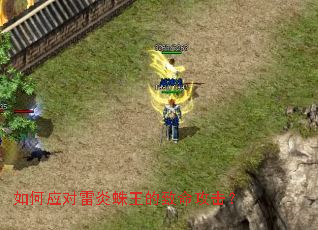 ���Ӧ����������������������