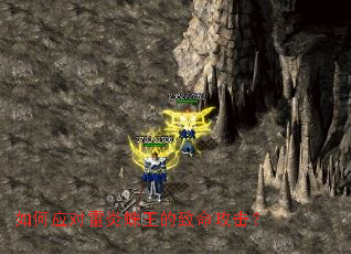 ���Ӧ����������������������