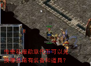 ����˽��ѫ�´��ҿ��Զһ���Щϡ��װ���͵��ߣ�