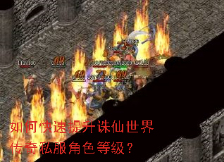 ��ο��������������紫��˽����ɫ�ȼ���