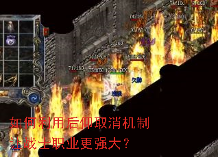 ������ú���ȡ��������սʿְҵ��ǿ��