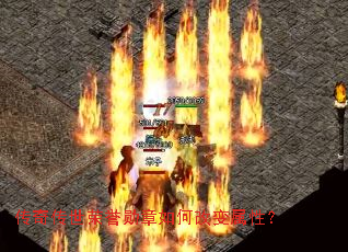 传奇传世荣誉勋章如何改变属性? 传奇传世荣誉勋章如何改变属性?