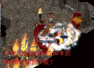 ����˽��ʵ����սű���PAK�ز�������أ�