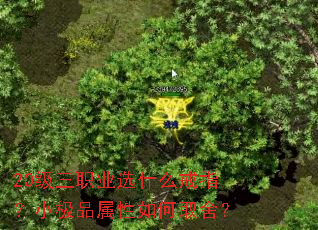 20����ְҵѡʲô��ָ��С��Ʒ�������ȡ�᣿