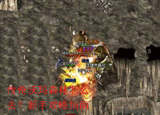 ��������ɭ����ôȥ�����ֹ���ָ��