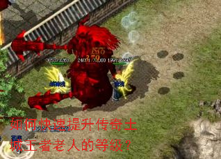 如何快速提升传奇土城王者老人的等级? 如何快速提升传奇土城王者老人的等级?