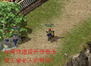 如何快速提升传奇土城王者老人的等级? 如何快速提升传奇土城王者老人的等级?