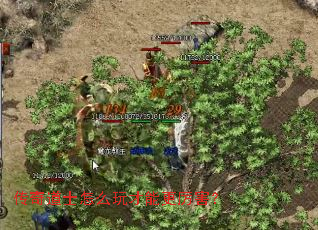 传奇道士怎么玩才能更厉害? 传奇道士怎么玩才能更厉害?