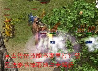 复古传奇技能书哪里打?常见技能书掉落地点全解析 复古传奇技能书哪里打?常见技能书掉落地点全解析