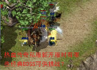 ��Ѫ����˽���¿���ʱ����Щ����BOSS�ɹ���ս��