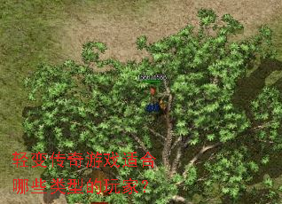 ��䴫����Ϸ�ʺ���Щ���͵���ң�