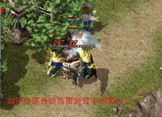 ��ο�������������Ϸ�еĲ˵���