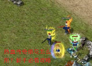 ��Ѫ�����̻���ô�ã����ֱؿ�����