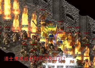 ��ʿ����սʿ�������Ӧ�ԣ�