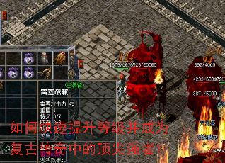 如何快速提升等级并成为复古传奇中的顶尖强者? 如何快速提升等级并成为复古传奇中的顶尖强者?