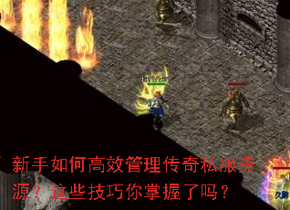 ������θ�Ч��������˽����Դ����Щ��������������