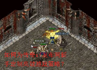 如何为传奇sf发布网新手定制高效游戏策略? 如何为传奇sf发布网新手定制高效游戏策略?