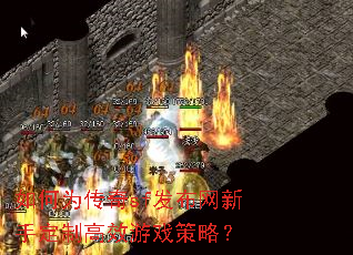 如何为传奇sf发布网新手定制高效游戏策略? 如何为传奇sf发布网新手定制高效游戏策略?