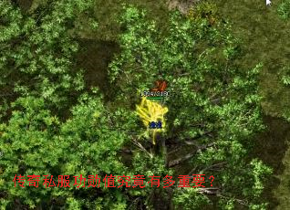 ����˽����ѫֵ�����ж���Ҫ��