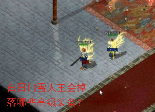 ������ѩ�����������Щ�߼�װ����