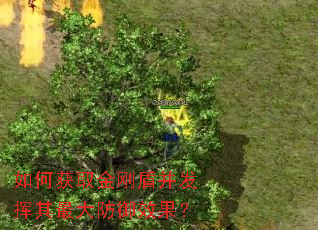 如何获取金刚盾并发挥其最大防御效果? 如何获取金刚盾并发挥其最大防御效果?