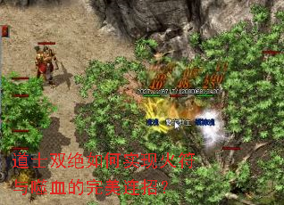 ��ʿ˫�����ʵ�ֻ������Ѫ���������У�