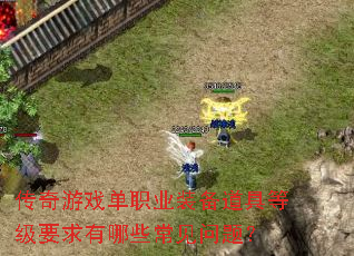 ������Ϸ��ְҵװ�����ߵȼ�Ҫ������Щ�������⣿