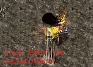 不想去尸王殿抢?毒蛇矿区也能打装备吗? 不想去尸王殿抢?毒蛇矿区也能打装备吗?