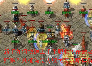 ������ο������ֵ�ְҵ������߹����������귨�������湥�����