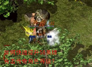 如何快速提升58英雄合击传奇角色等级? 如何快速提升58英雄合击传奇角色等级?