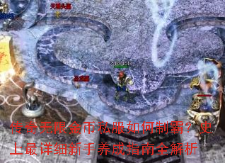 传奇无限金币私服如何制霸?史上最详细新手养成指南全解析 传奇无限金币私服如何制霸?史上最详细新手养成指南全解析
