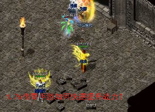 1.76����������ο�������ս����