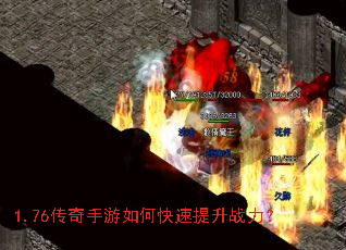 1.76����������ο�������ս����