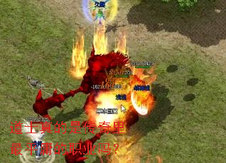 道士真的是传奇里最平庸的职业吗? 道士真的是传奇里最平庸的职业吗?