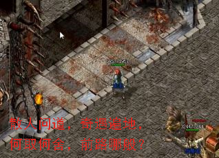 散人问道,奇遇遍地,何取何舍,前路哪般? 散人问道,奇遇遍地,何取何舍,前路哪般?