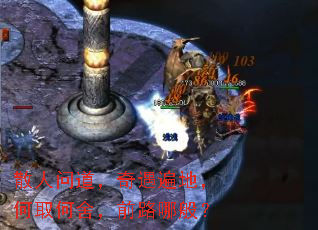 散人问道,奇遇遍地,何取何舍,前路哪般? 散人问道,奇遇遍地,何取何舍,前路哪般?