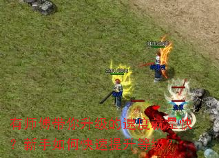 ��ʦ�������������ٶȾ��ǿ죿������ο��������ȼ���