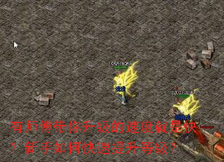 ��ʦ�������������ٶȾ��ǿ죿������ο��������ȼ���