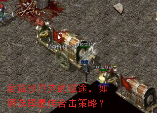 ����ɳ�Ϳ˵���;�����ѡ����Ѻϻ����ԣ�