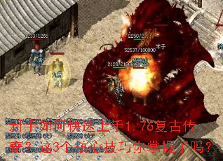 ������ο�������1.76���Ŵ��棿��3�����ļ�������������