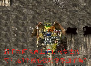 ������ο�������1.76���Ŵ��棿��3�����ļ�������������