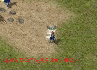 ����������ο���������ɫ�ȼ���