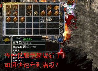 传奇私服苹果版新手如何快速升到满级? 传奇私服苹果版新手如何快速升到满级?