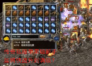 传奇私服苹果版新手如何快速升到满级? 传奇私服苹果版新手如何快速升到满级?