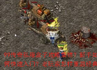 99����˽�����ӹ��Լ�����������ο������ţ�������������¾��䣿