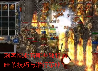 �̿�ְҵ����Щ���صİ�ɱ������Ǳ�в��ԣ�