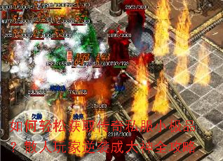 ������ɻ�ȡ����˽��С��Ʒ��ɢ�������Ϯ�ɴ���ȫ����