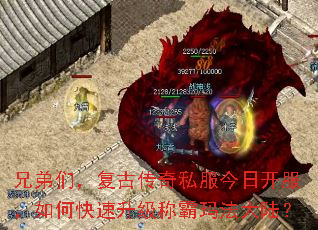 �ֵ��ǣ����Ŵ���˽�����տ�������ο��������ư��귨��½��