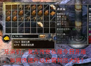 �ֵ��ǣ����Ŵ���˽�����տ�������ο��������ư��귨��½��